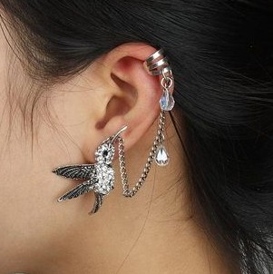 Fashion Earrings